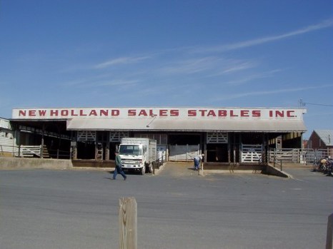 New Holland Sales Stables